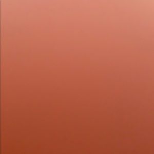 Meet your Posher, Aiesha